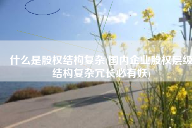 什么是股权结构复杂(国内企业股权层级结构复杂冗长必有妖)