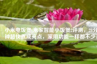 小米电饭煲(米家智能小饭煲2评测，28分钟超快煮成亮点，家用功能一样都不少)