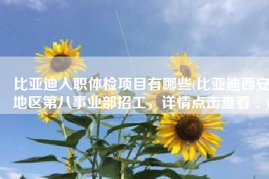 比亚迪入职体检项目有哪些(比亚迪西安地区第八事业部招工，详情点击查看↓)