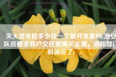 灭火器年检多少钱一个能开发票吗(治安队员要求商户交钱更换灭火器，消防部门明确说了)