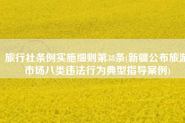旅行社条例实施细则第38条(新疆公布旅游市场八类违法行为典型指导案例)