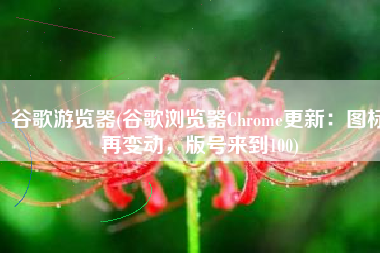 谷歌游览器(谷歌浏览器Chrome更新：图标再变动，版号来到100)