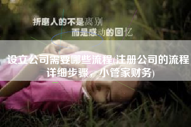设立公司需要哪些流程(注册公司的流程，详细步骤，小管家财务)
