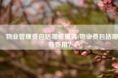 物业管理费包括哪些服务(物业费包括哪些费用？)