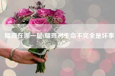 耀斑在哪一层(耀斑对生命不完全是坏事)