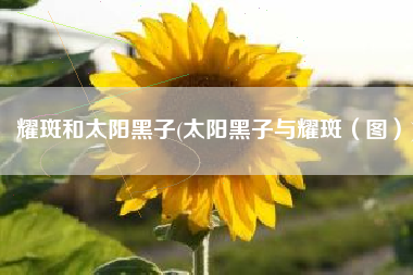 耀斑和太阳黑子(太阳黑子与耀斑（图）)