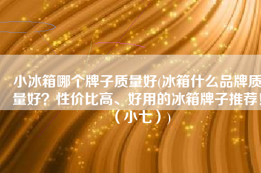 小冰箱哪个牌子质量好(冰箱什么品牌质量好？性价比高、好用的冰箱牌子推荐！（小七）)