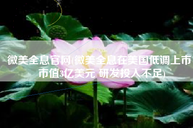 微美全息官网(微美全息在美国低调上市：市值3亿美元 研发投入不足)