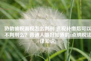 协助偷税漏税怎么判刑(逃税补缴后可以不判刑么？普通人最好知道的4点纳税法律知识)