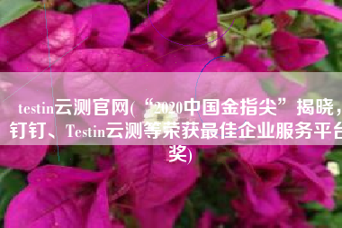 testin云测官网(“2020中国金指尖”揭晓，钉钉、Testin云测等荣获最佳企业服务平台奖)