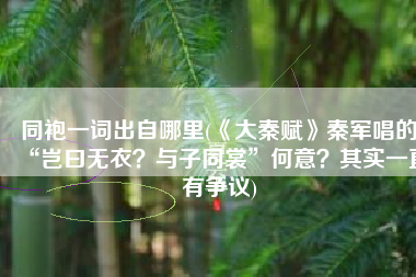 同袍一词出自哪里(《大秦赋》秦军唱的“岂曰无衣？与子同裳”何意？其实一直有争议)