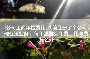 公司工商年检费用(以前注册了个公司，现在没业务，每年还要交年费、代帐费，怎么办)