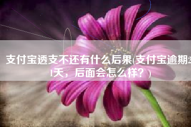 支付宝透支不还有什么后果(支付宝逾期271天，后面会怎么样？)