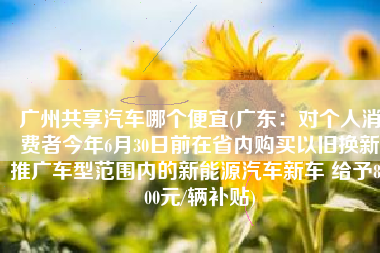 广州共享汽车哪个便宜(广东：对个人消费者今年6月30日前在省内购买以旧换新推广车型范围内的新能源汽车新车 给予8000元/辆补贴)