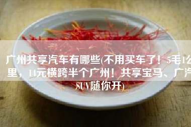 广州共享汽车有哪些(不用买车了！5毛1公里，14元横跨半个广州！共享宝马、广汽SUV随你开)