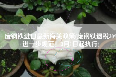 废钢铁进口最新海关政策(废钢铁退税30%进一步规范！3月1日起执行)