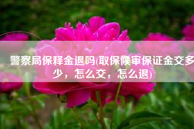 警察局保释金退吗(取保候审保证金交多少，怎么交，怎么退)