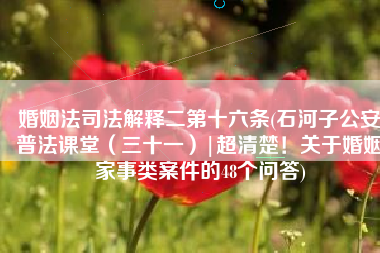 婚姻法司法解释二第十六条(石河子公安普法课堂（三十一）|超清楚！关于婚姻家事类案件的48个问答)
