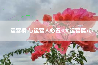 运营模式(运营人必看/5大运营模式)