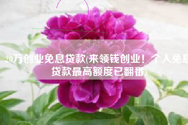 20万创业免息贷款(来领钱创业！个人免息贷款最高额度已翻番)
