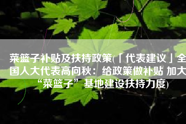菜篮子补贴及扶持政策(「代表建议」全国人大代表高向秋：给政策做补贴 加大“菜篮子”基地建设扶持力度)