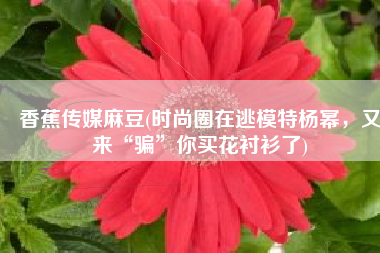 香蕉传媒麻豆(时尚圈在逃模特杨幂，又来“骗”你买花衬衫了)