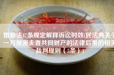 婚姻法47条规定解释诉讼时效(民法典关于一方侵害夫妻共同财产的法律后果的相关裁判规则（5条）)