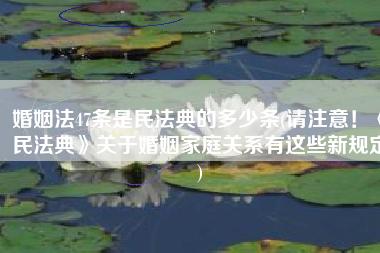 婚姻法47条是民法典的多少条(请注意！《民法典》关于婚姻家庭关系有这些新规定)