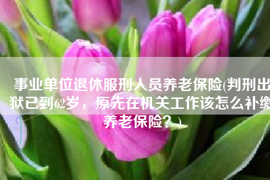 事业单位退休服刑人员养老保险(判刑出狱已到62岁，原先在机关工作该怎么补缴养老保险？)