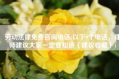 劳动法律免费咨询电话(以下9个电话，律师建议大家一定要知道（建议收藏）)