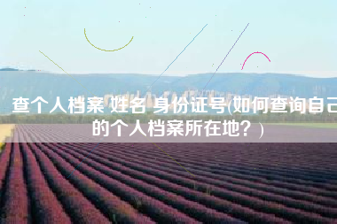 查个人档案 姓名 身份证号(如何查询自己的个人档案所在地？)