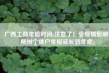 广西工商年检时间(注意了！受疫情影响，柳州个体户年报延长到年底)
