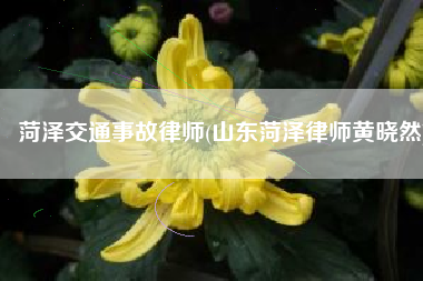 菏泽交通事故律师(山东菏泽律师黄晓然)
