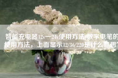 智能充电器12v一24v使用方法(数字电笔的使用方法，上面显示12/36/220是什么意思？)