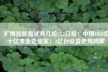 扩博智能面试有几轮(3.3日报：中国1058位十亿美金企业家；3亿台设备使用鸿蒙)