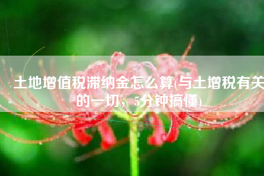 土地增值税滞纳金怎么算(与土增税有关的一切，5分钟搞懂)