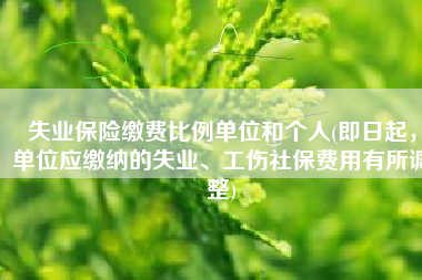 失业保险缴费比例单位和个人(即日起，单位应缴纳的失业、工伤社保费用有所调整)