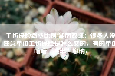 工伤保险缴费比例(湖南双峰：很多人没注意单位工伤保险是怎么交的，有的单位暗暗“减半”缴纳)