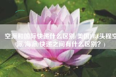 空派和国际快递什么区别(美国FBA头程空派/海派/快递之间有什么区别？)