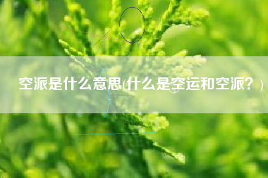 空派是什么意思(什么是空运和空派？)