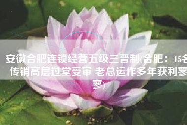 安徽合肥连锁经营五级三晋制(合肥：15名传销高层过堂受审 老总运作多年获利寥寥)