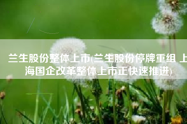 兰生股份整体上市(兰生股份停牌重组 上海国企改革整体上市正快速推进)
