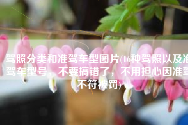 驾照分类和准驾车型图片(16种驾照以及准驾车型号，不要搞错了，不用担心因准驾不符被罚)