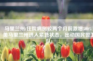 马里兰州(住院病例较两个月前激增500%！美马里兰州进入紧急状态，出动国民警卫队)