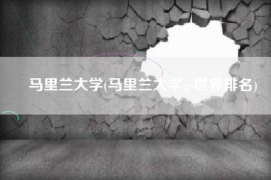 马里兰大学(马里兰大学qs世界排名)