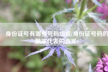 身份证号有哪些号码组成(身份证号码的数字代表的含义)