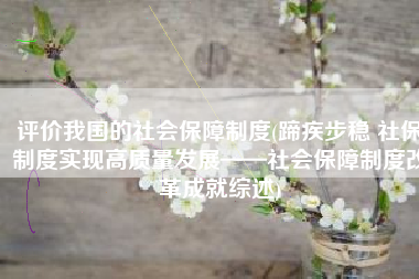 评价我国的社会保障制度(蹄疾步稳 社保制度实现高质量发展——社会保障制度改革成就综述)