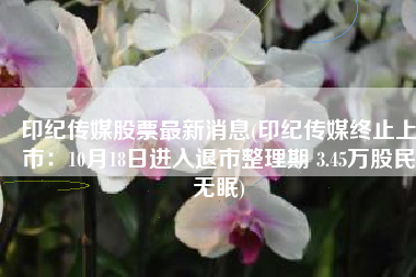 印纪传媒股票最新消息(印纪传媒终止上市：10月18日进入退市整理期 3.45万股民无眠)
