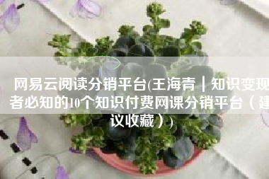 网易云阅读分销平台(王海青｜知识变现者必知的10个知识付费网课分销平台（建议收藏）)