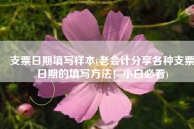 支票日期填写样本(老会计分享各种支票日期的填写方法！小白必看)